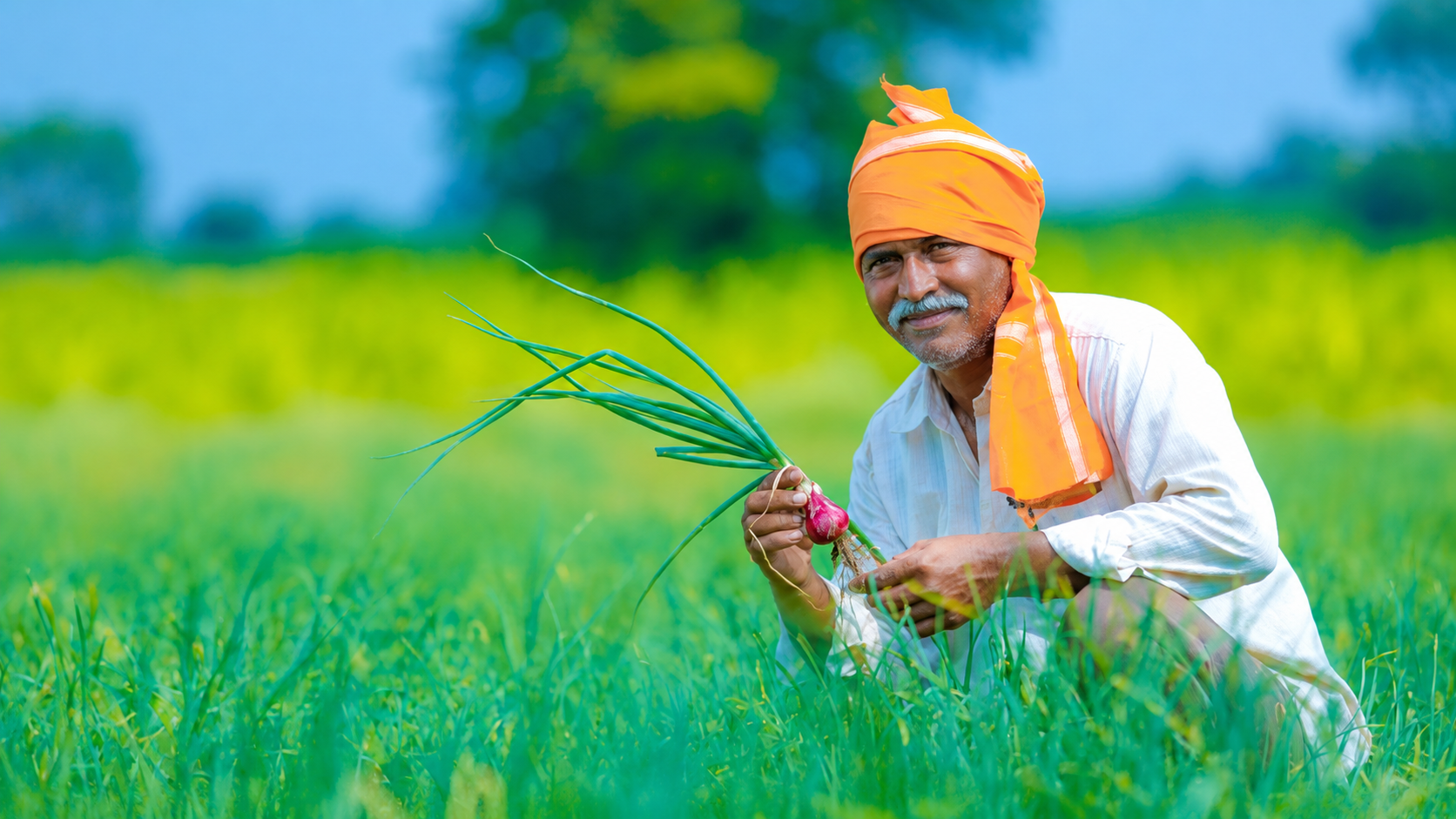 A farmer holding freshly pulled onions in a green field. A stock photograph, not a person whose case appears in this prototype.